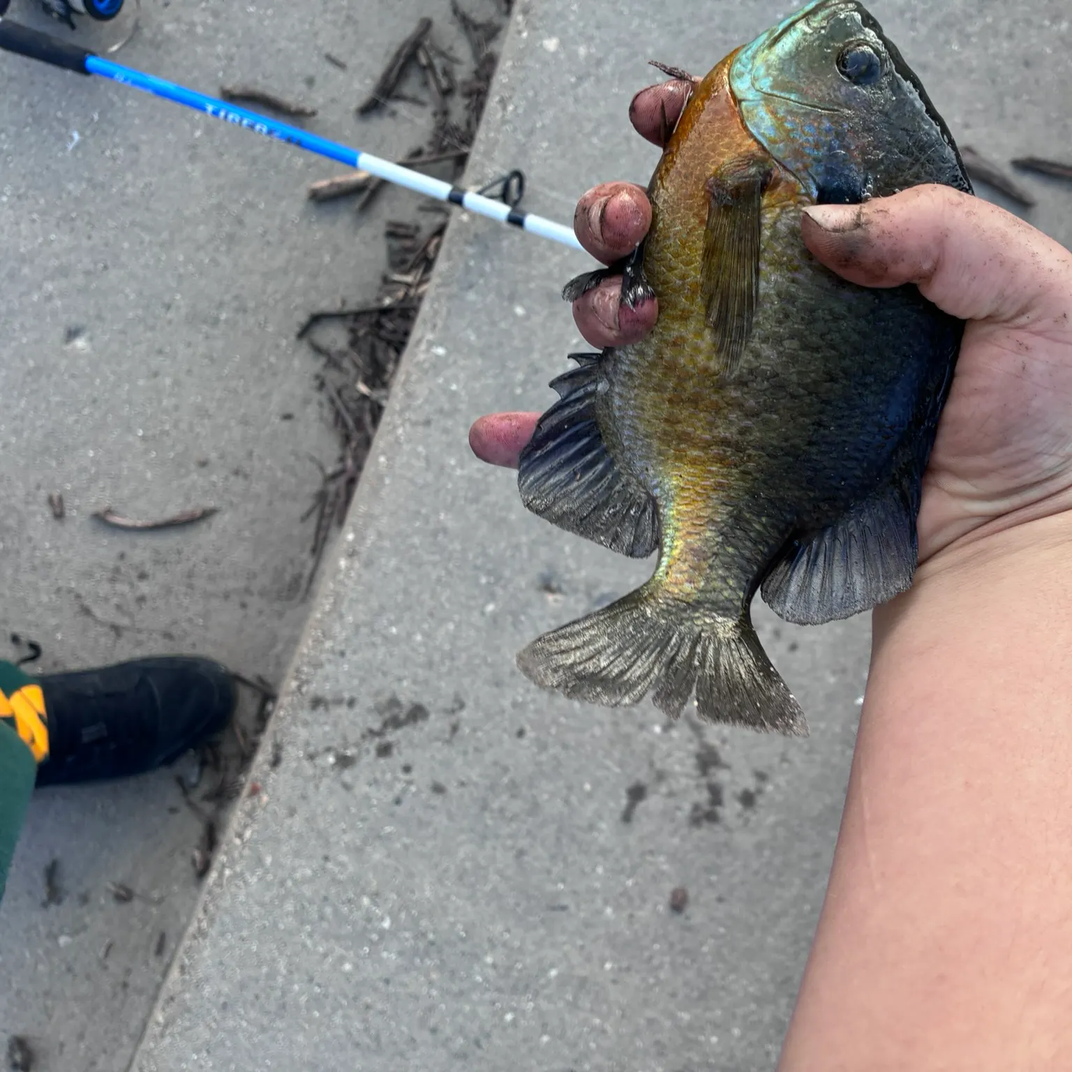 catch