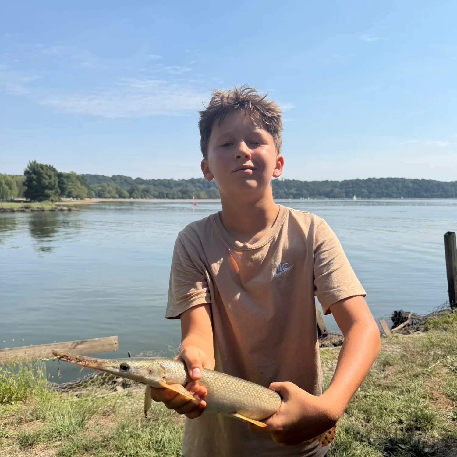 Shortnose gar caught on Fishbrain