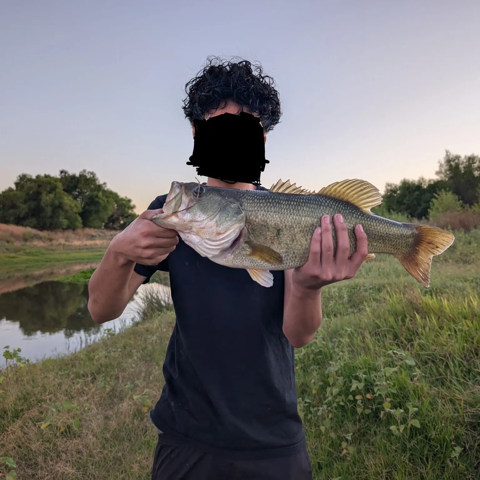 Largemouth bass caught on Fishbrain