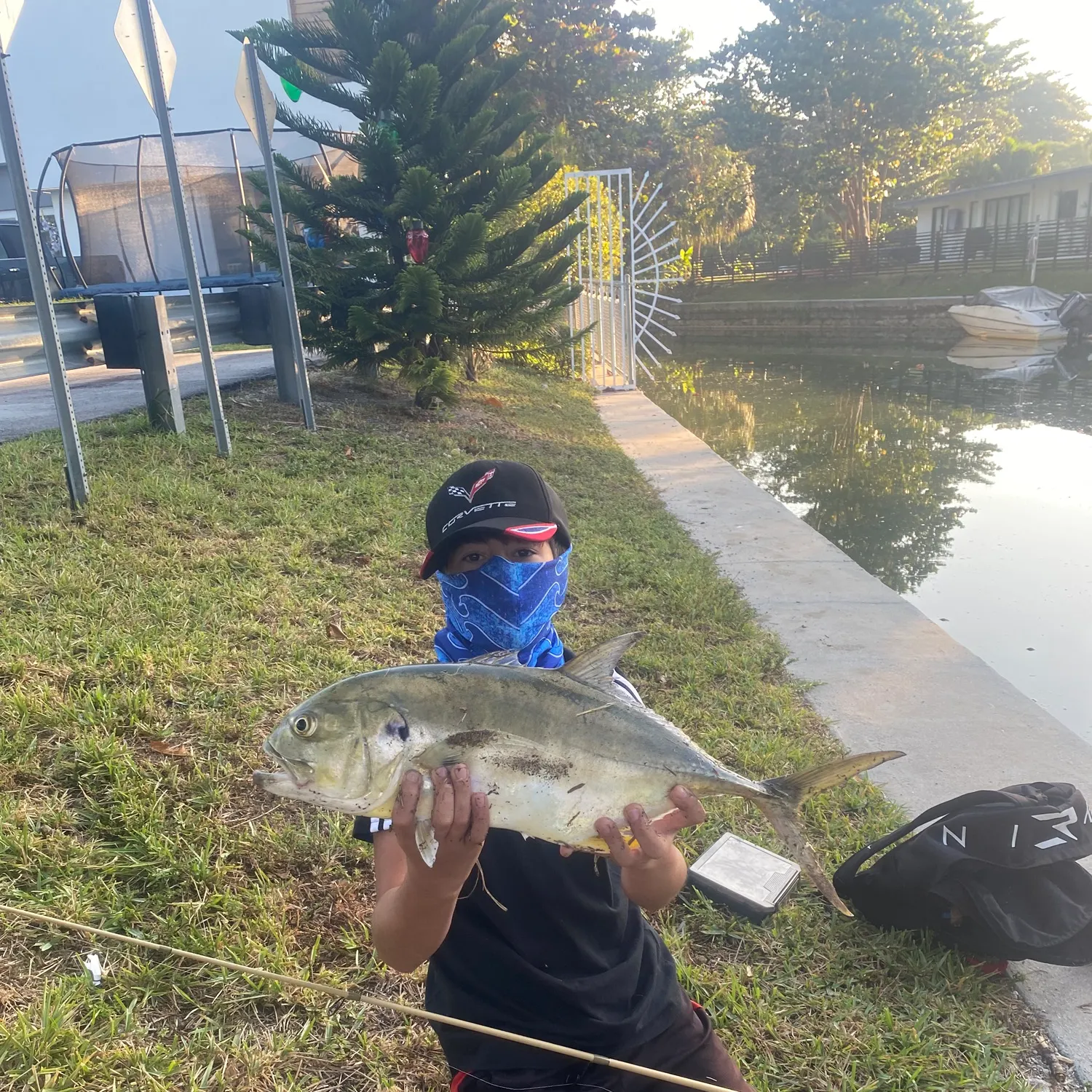 The most recent Crevalle jack catches on Fishbrain