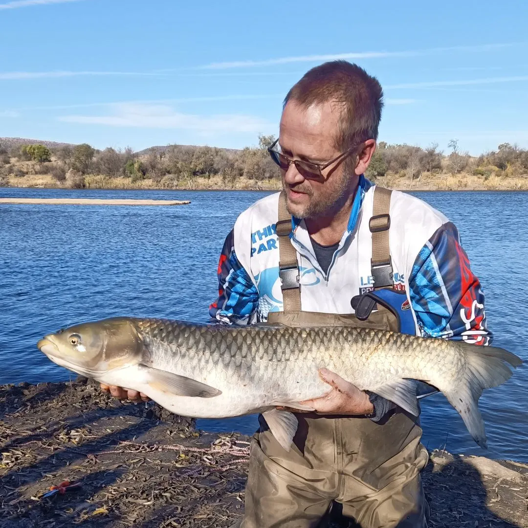 The most recent Grass carp catches on Fishbrain