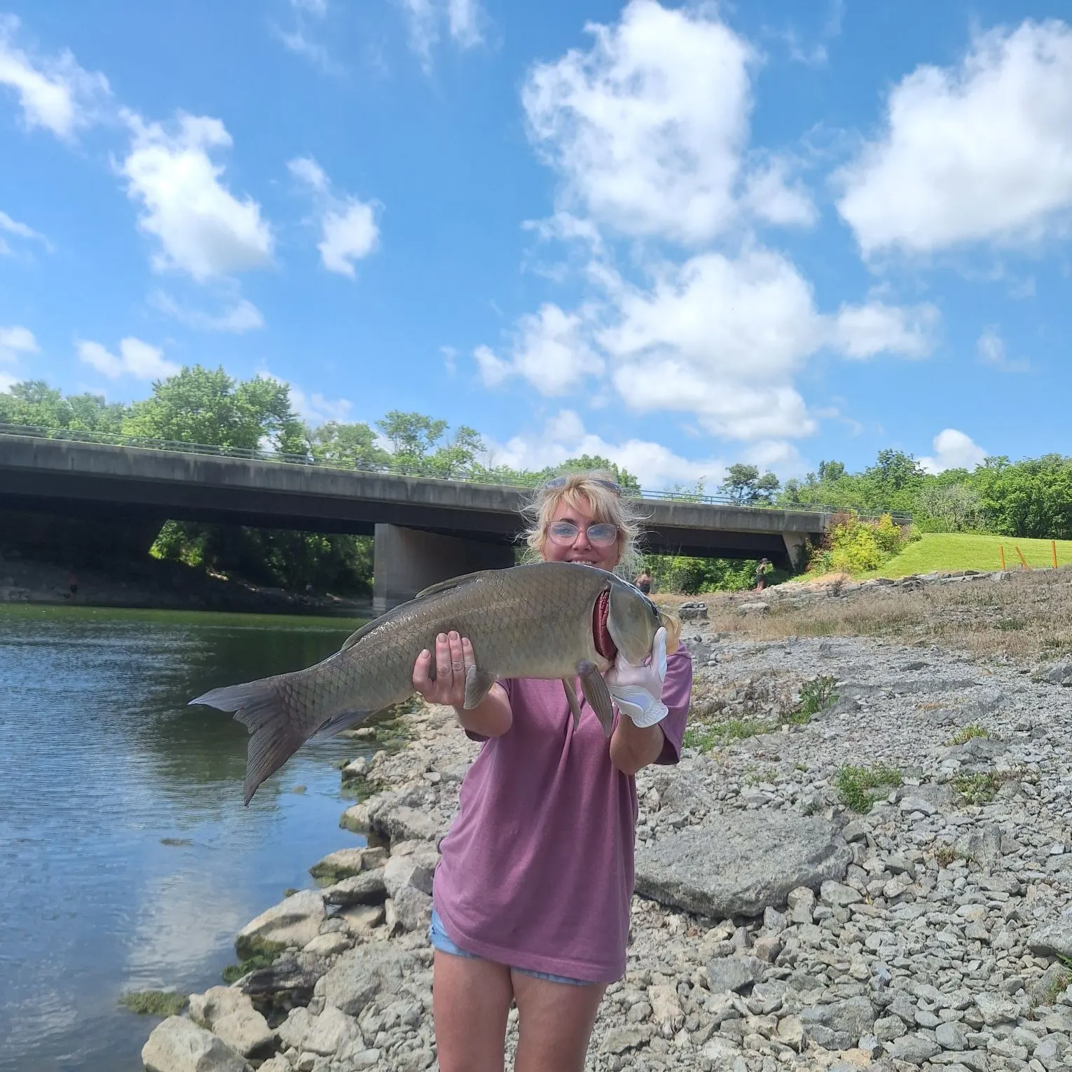 most liked catch image