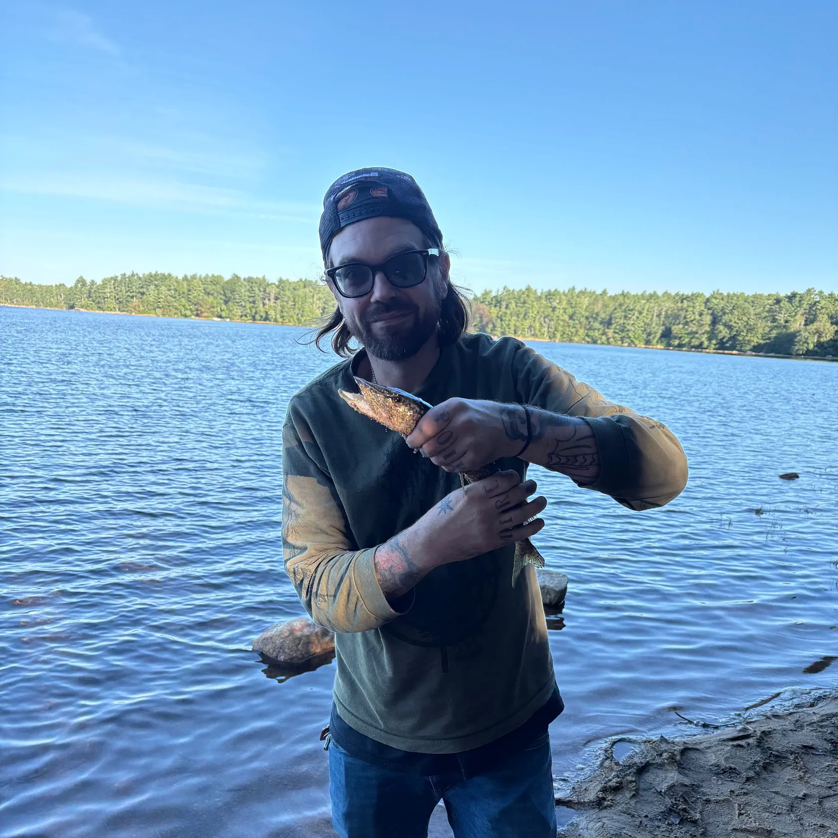 Chain pickerel caught on Fishbrain