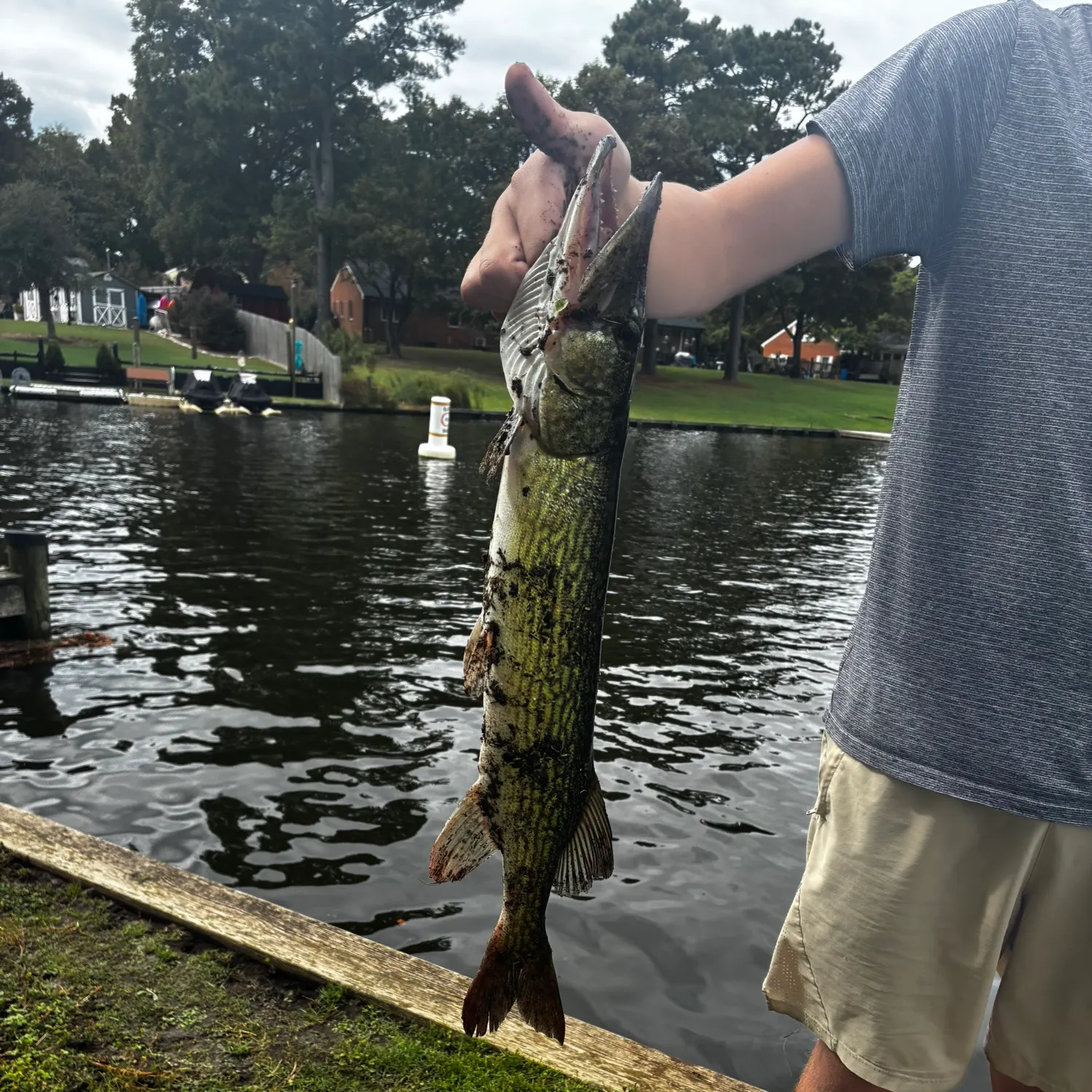 catch
