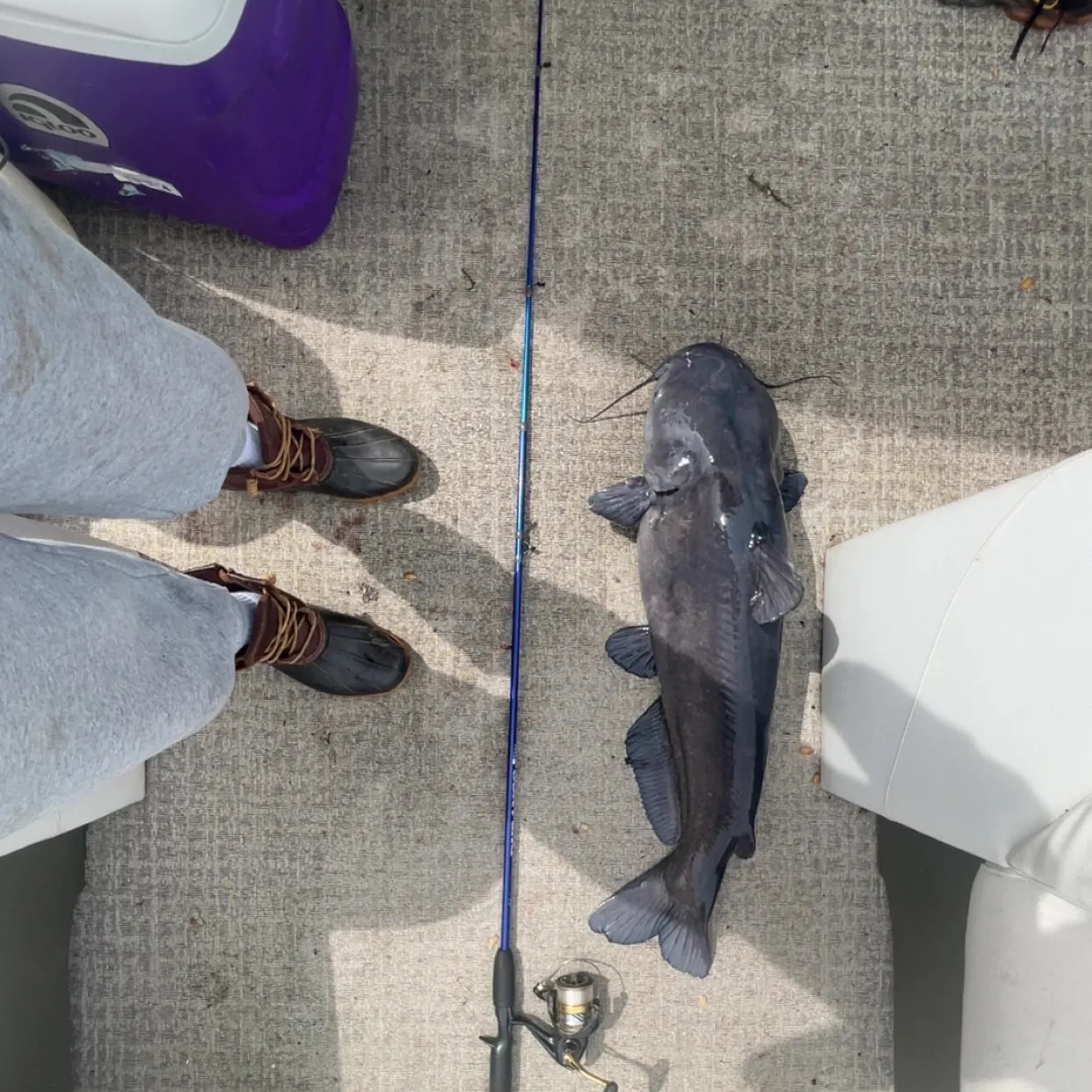 catch