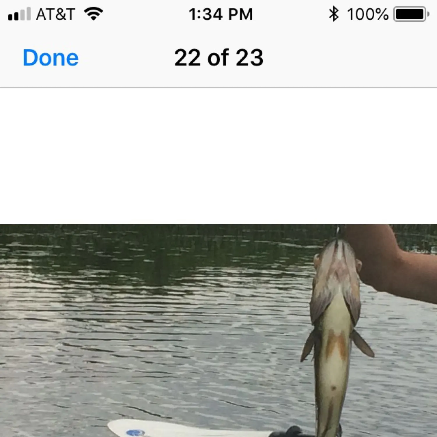 recently logged catches