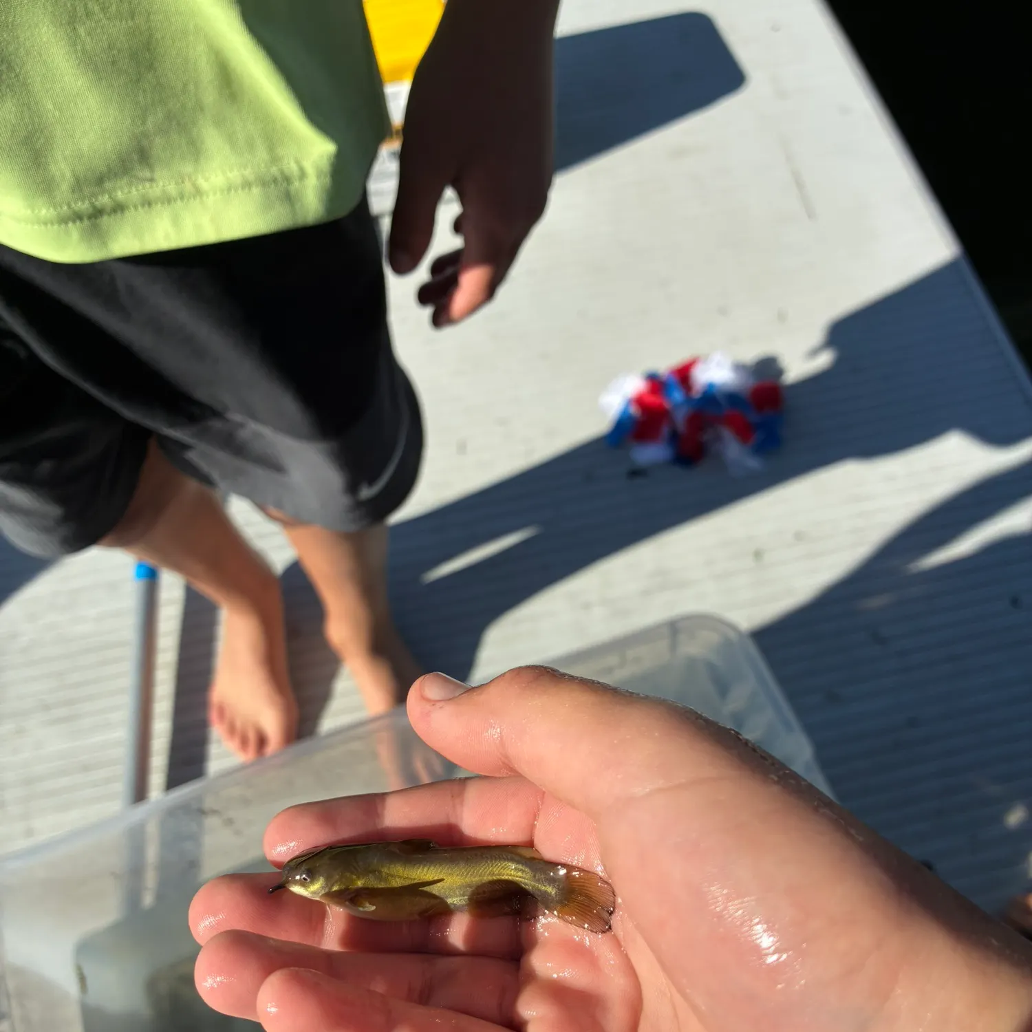 catch