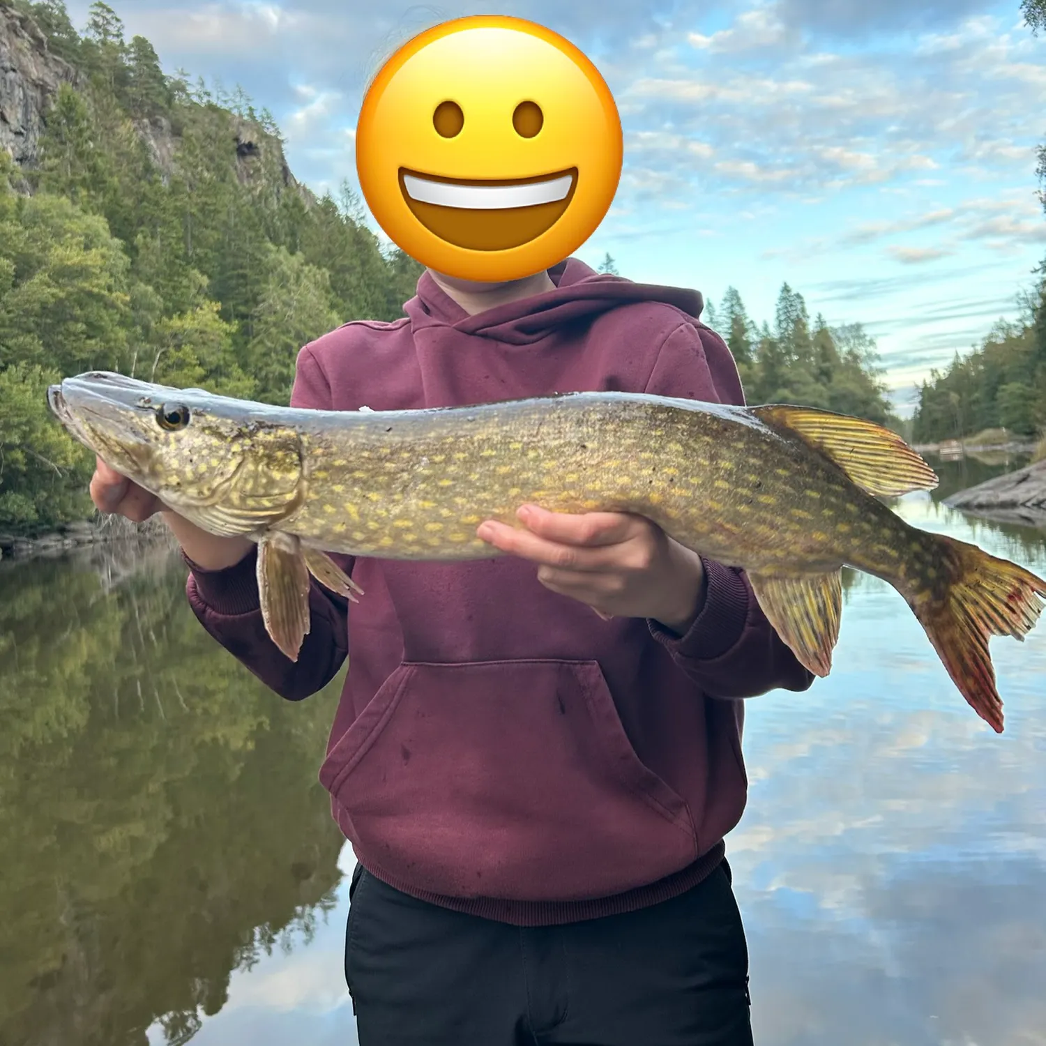 Northern pike caught on Fishbrain
