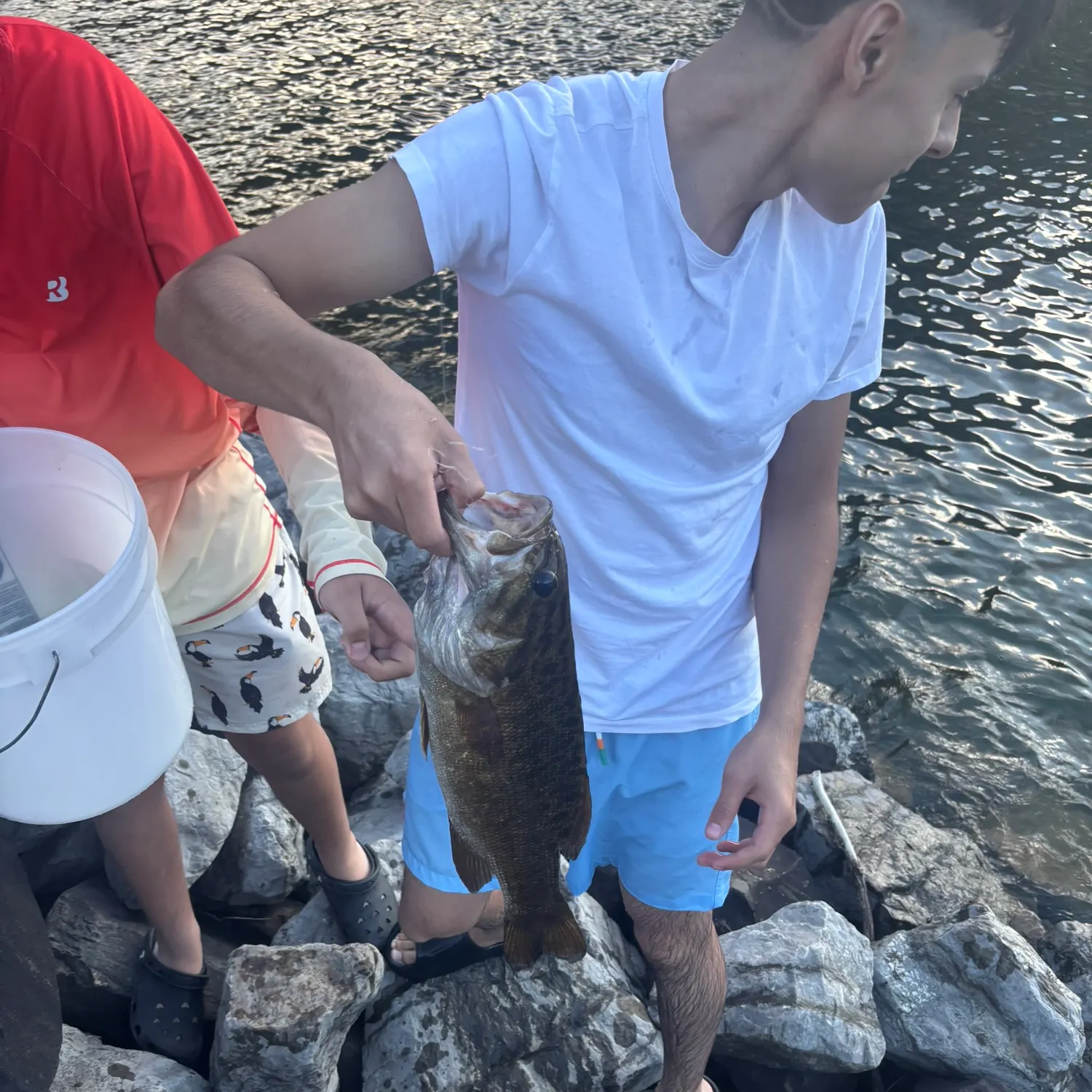Smallmouth bass caught on Fishbrain