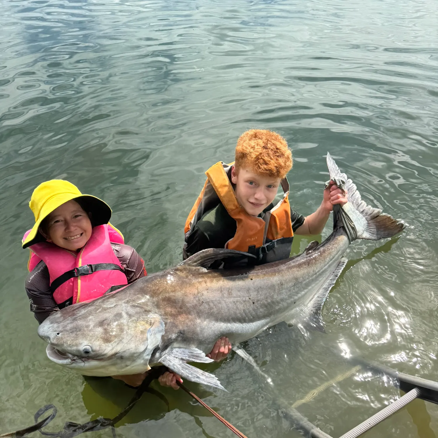 The most recent Giant pangasius catches on Fishbrain