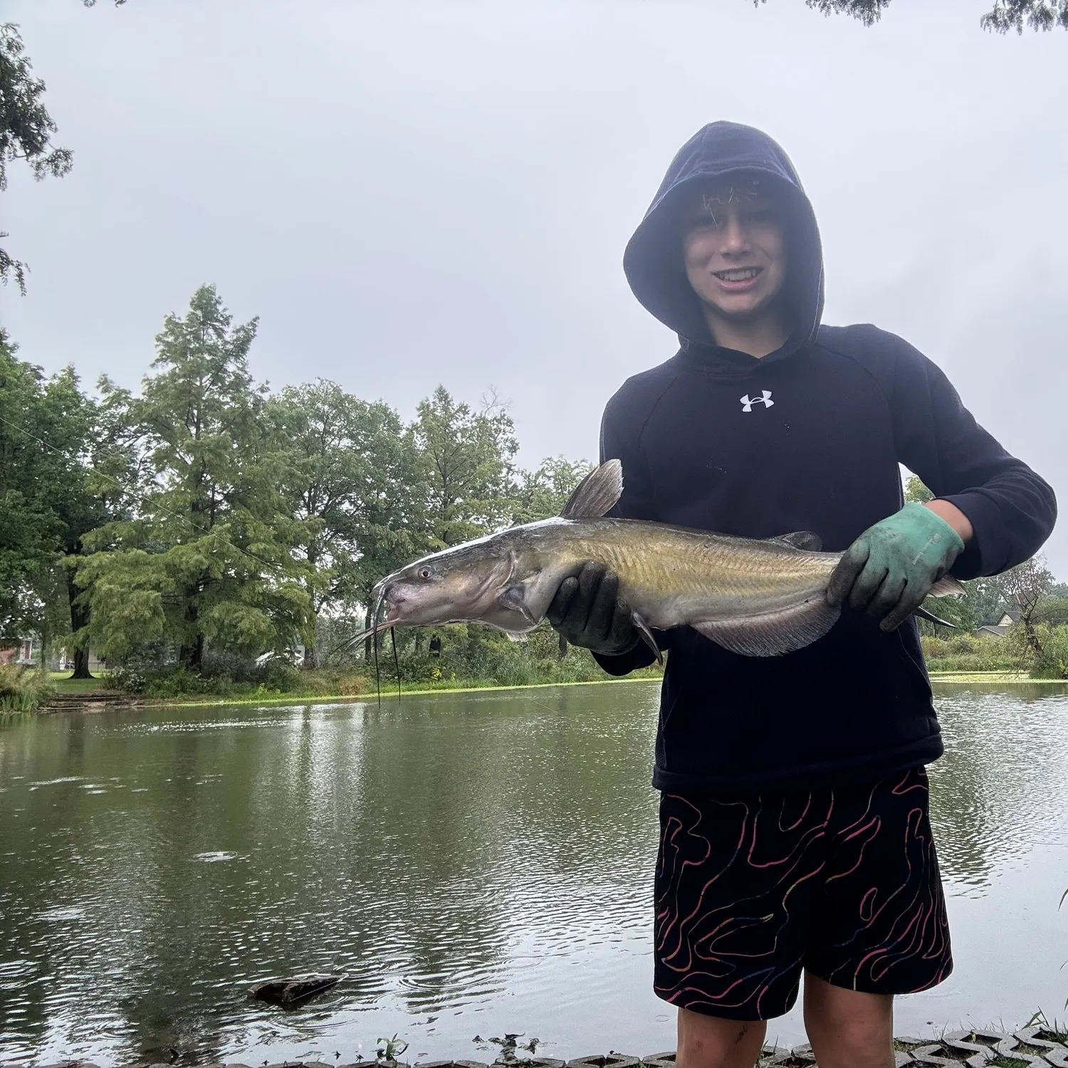 Channel catfish caught on Fishbrain