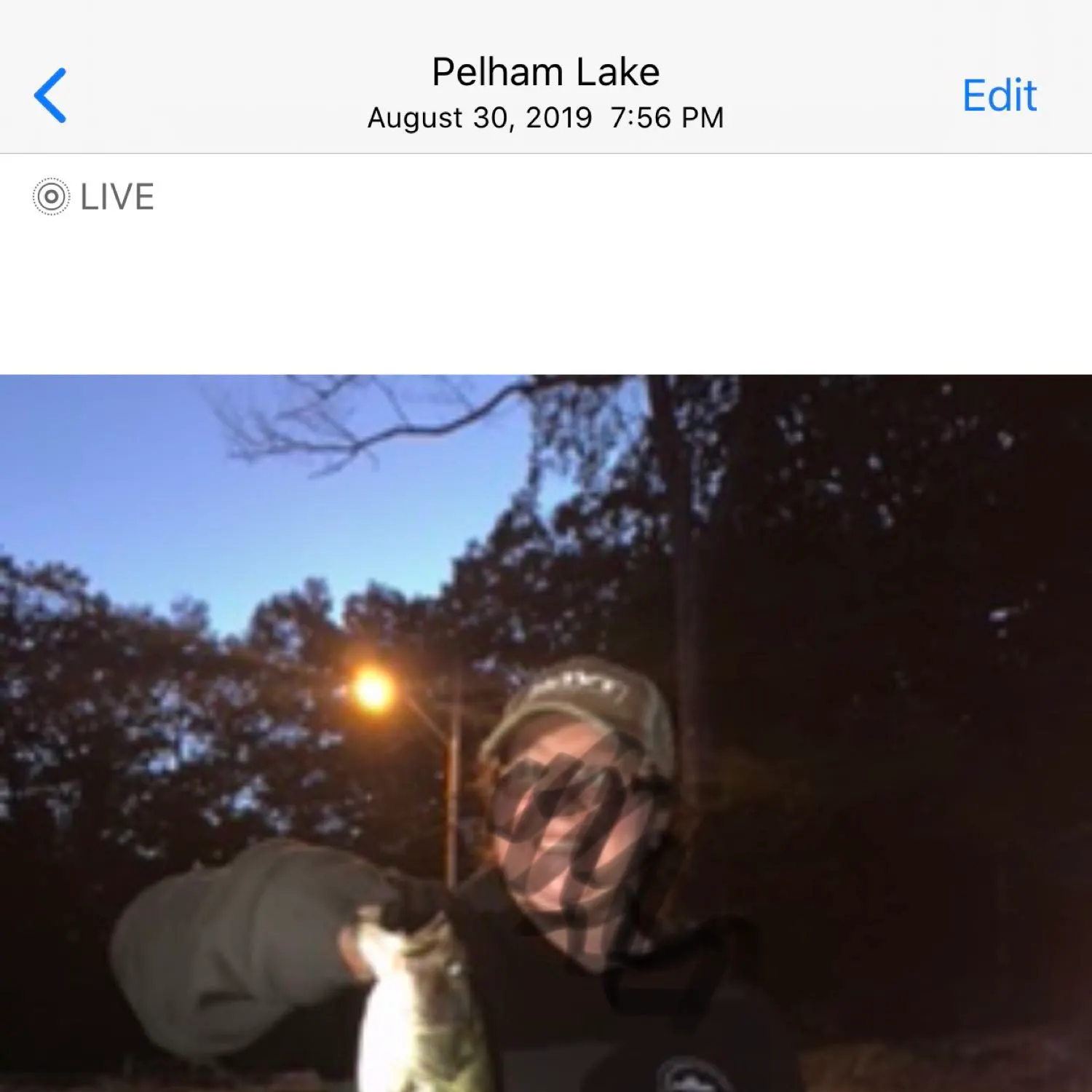 recently logged catches