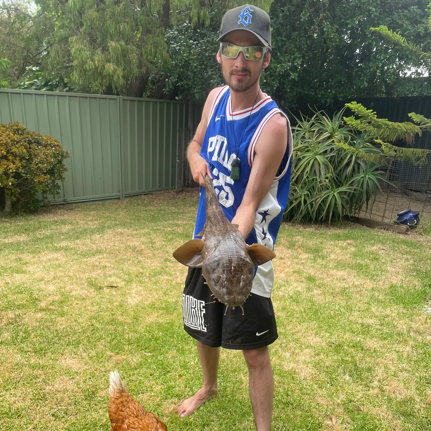 The most recent Spotted wobbegong catches on Fishbrain