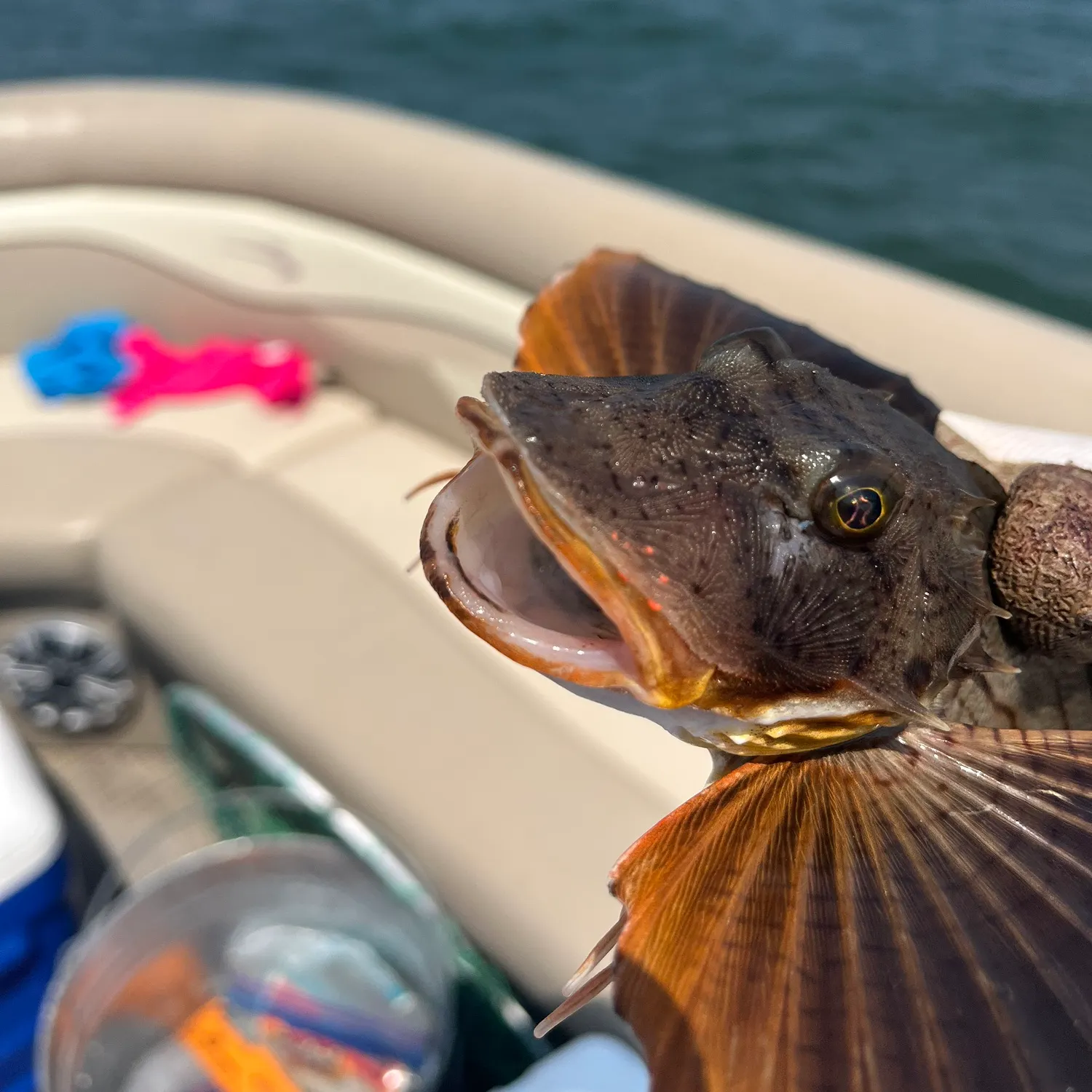 catch