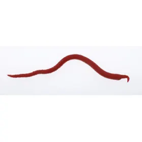 Extruded Bloodworm