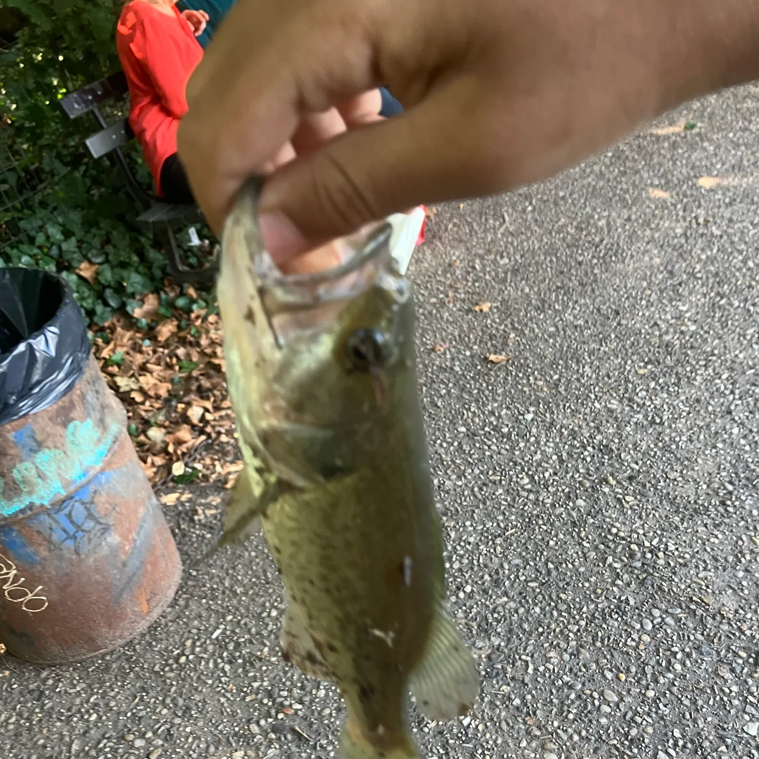 catch