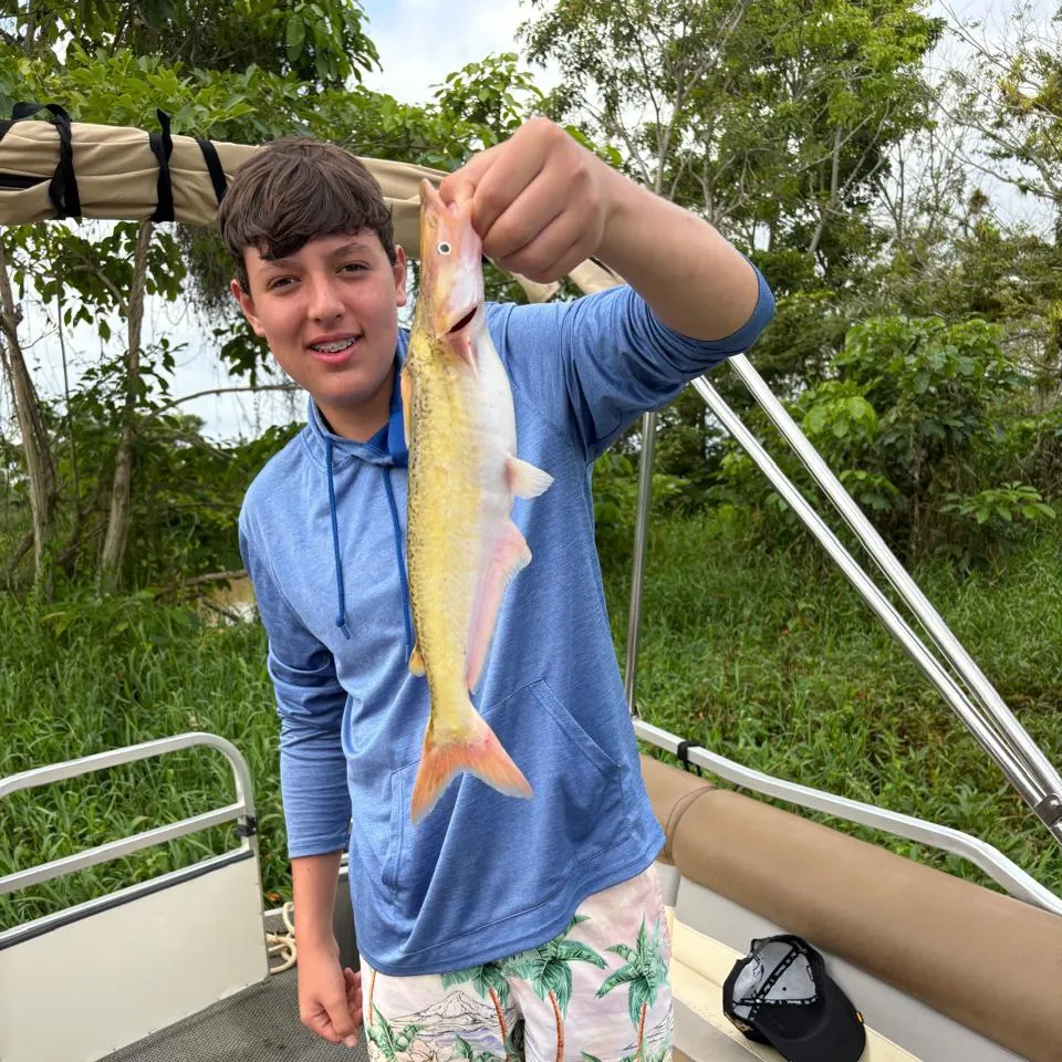 Fish caught on Fishbrain