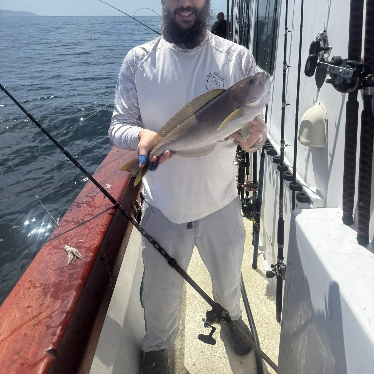The most recent Ocean whitefish catches on Fishbrain