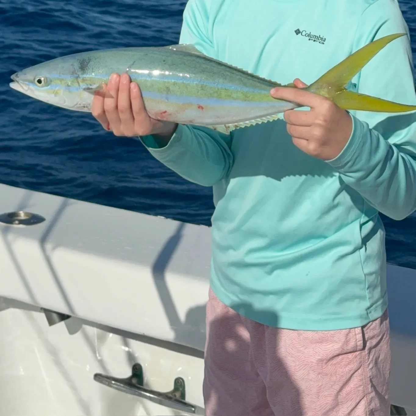 The most recent Rainbow runner catches on Fishbrain