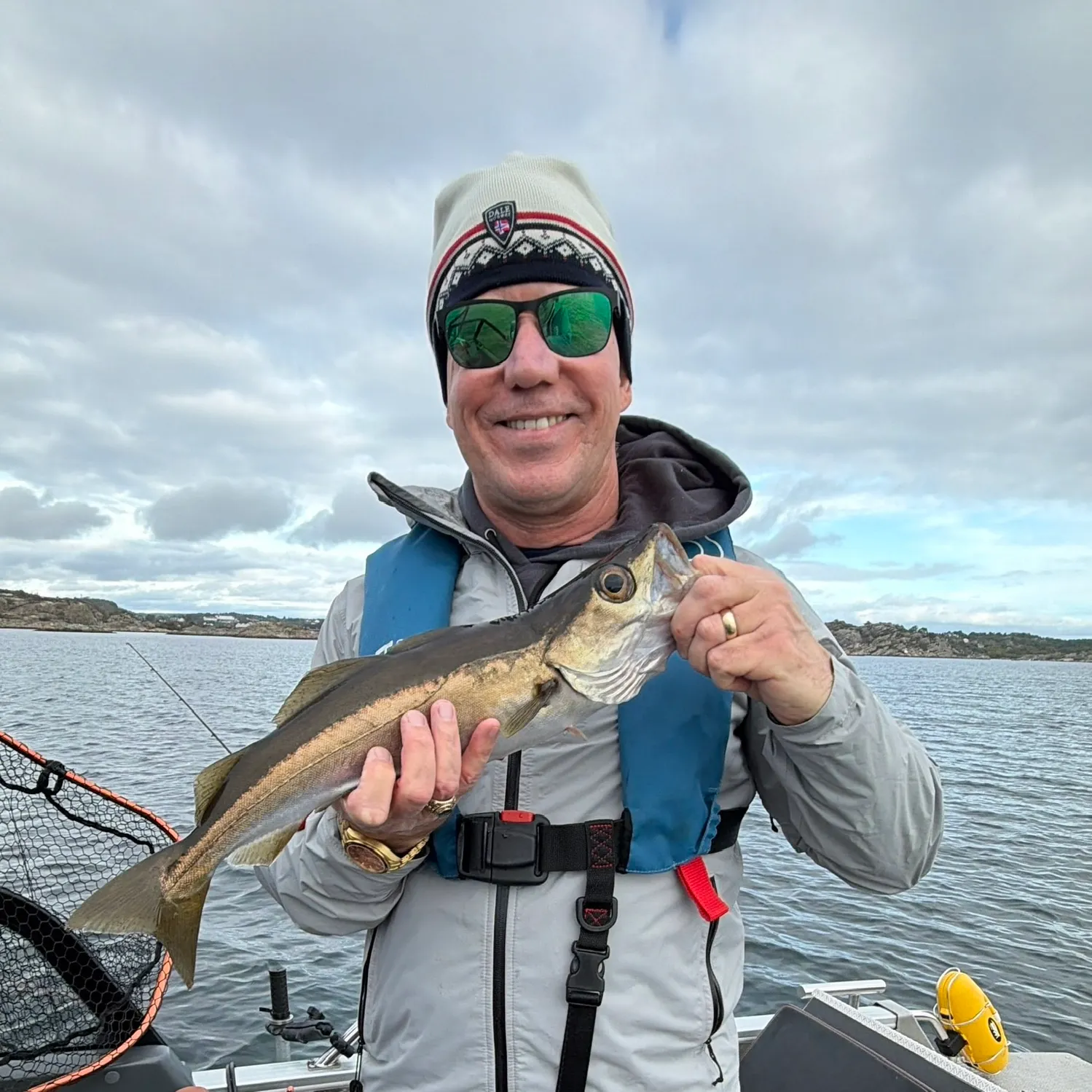 Pollack caught on Fishbrain