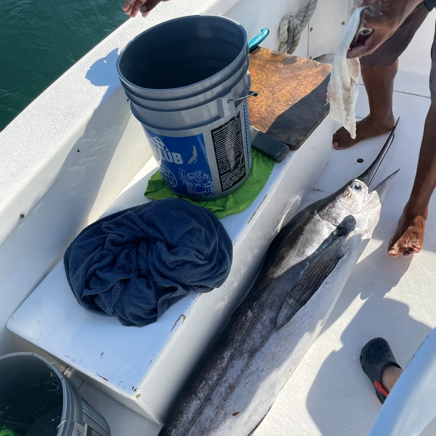 The most recent Black marlin catches on Fishbrain