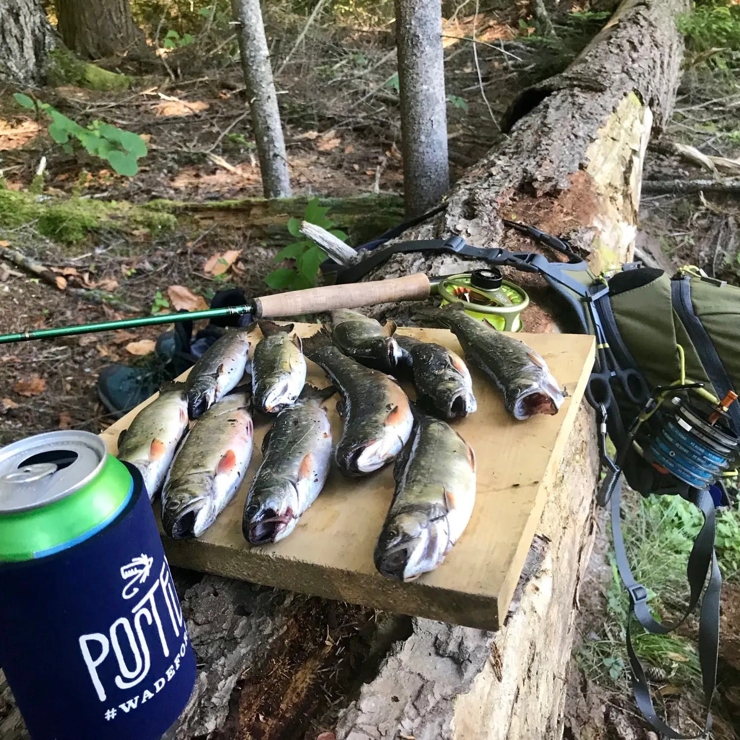 recently logged catches