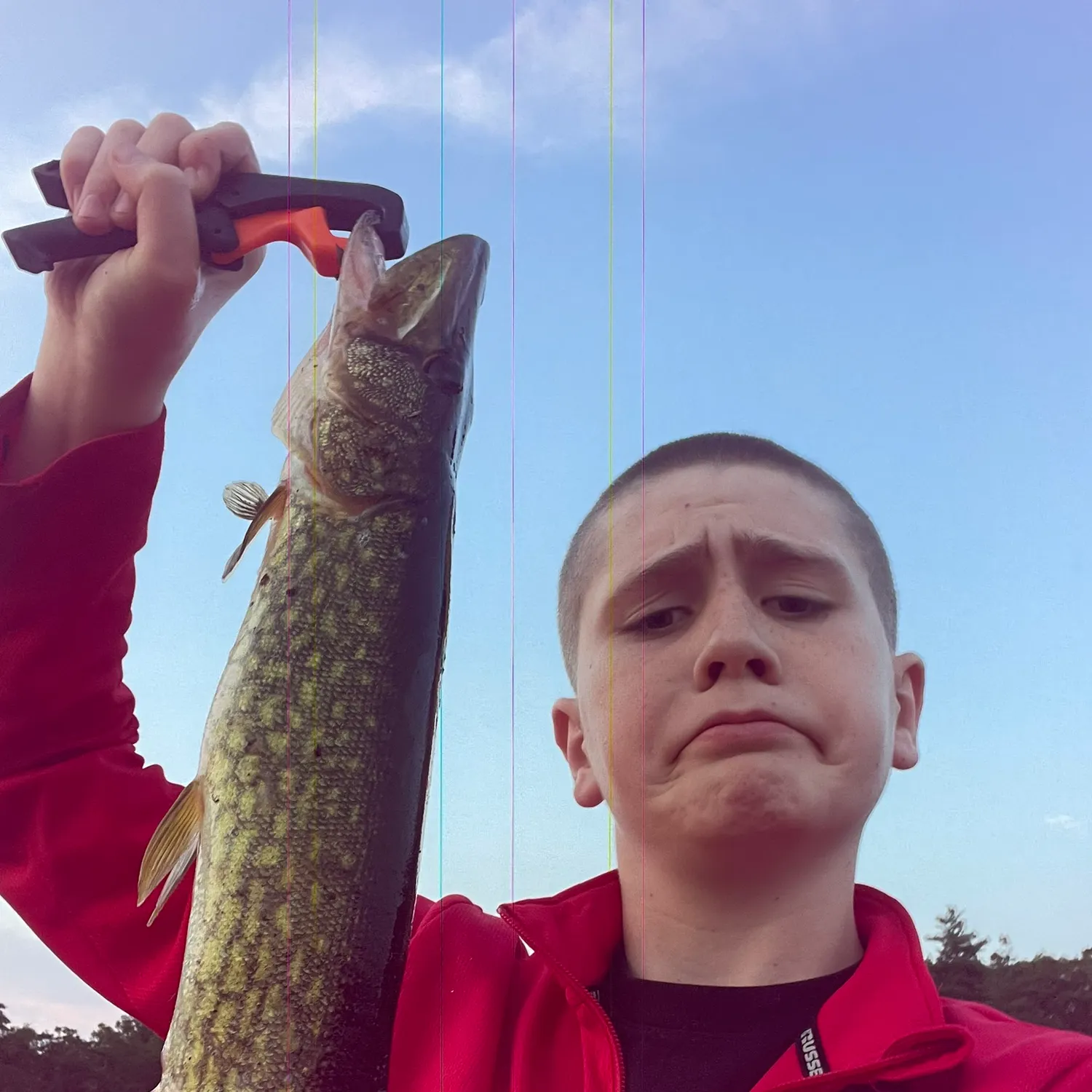The most recent Chain pickerel catches on Fishbrain