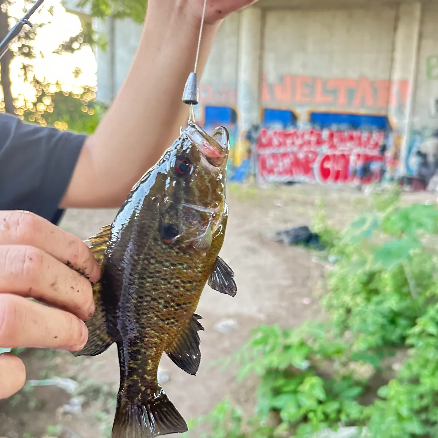 catch
