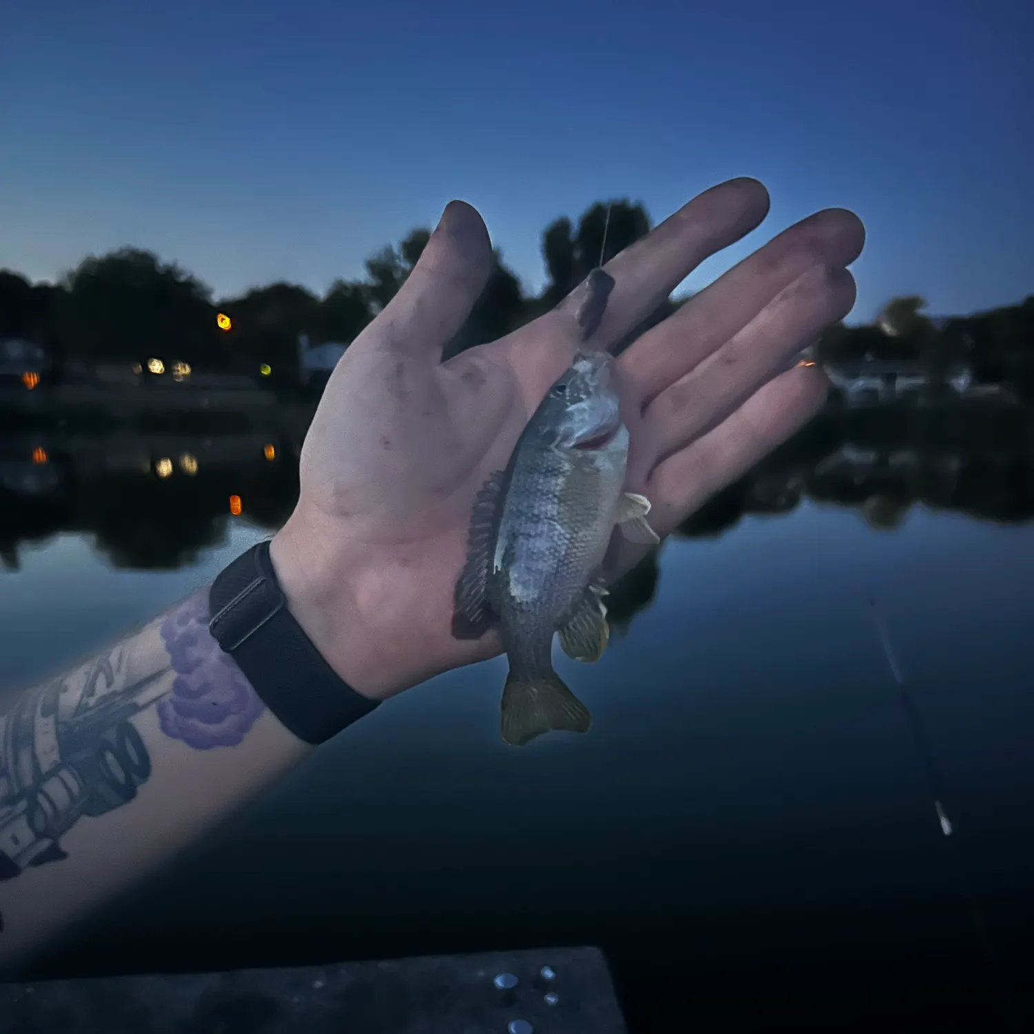 catch
