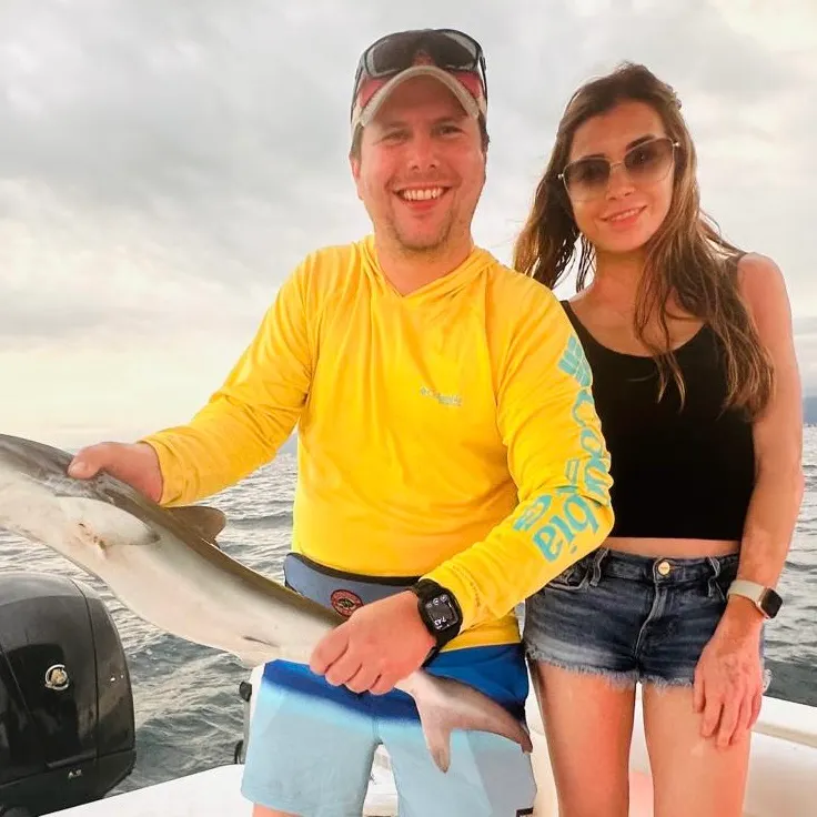 The most recent Sandbar shark catches on Fishbrain
