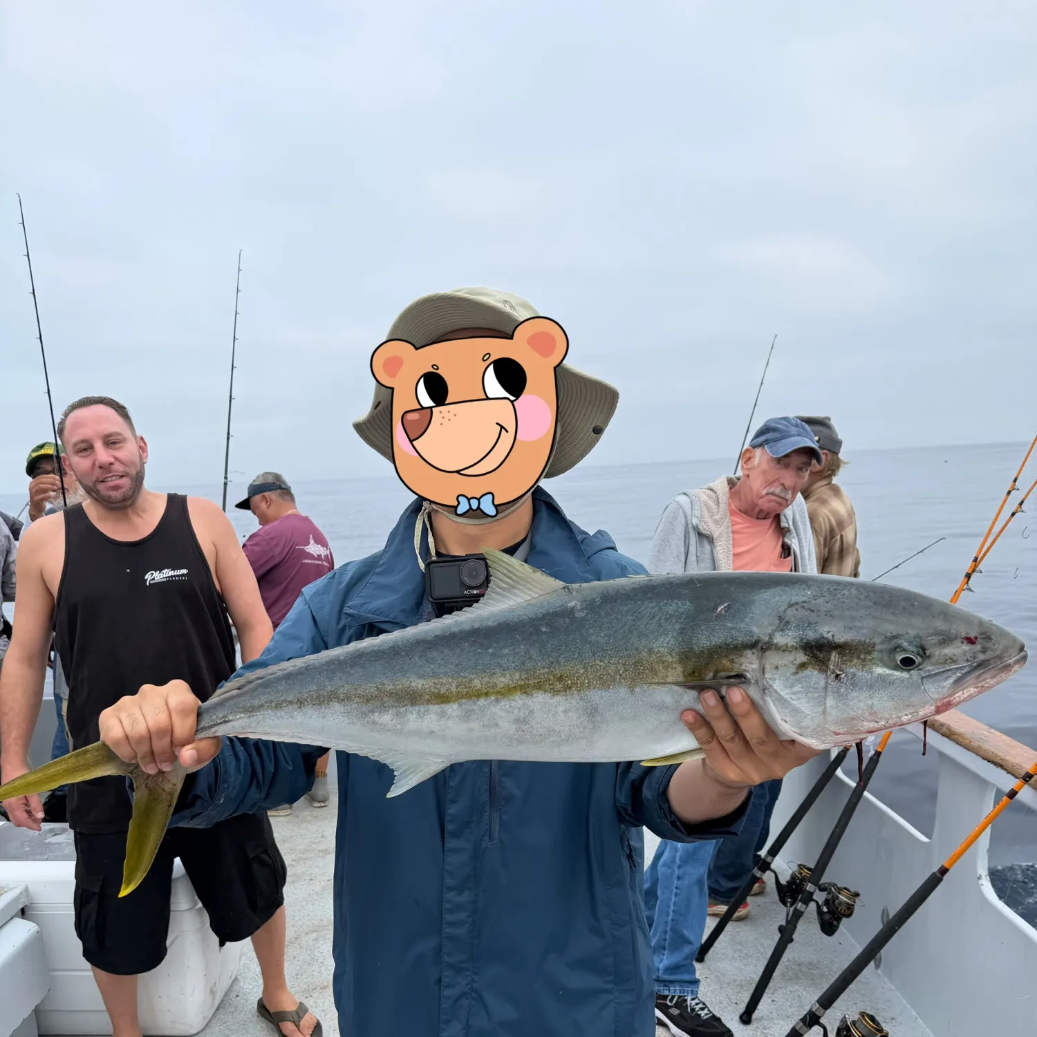 California yellowtail amberjack caught on Fishbrain
