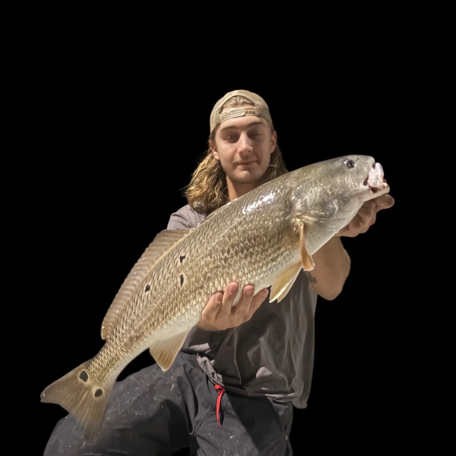 Red drum caught on Fishbrain