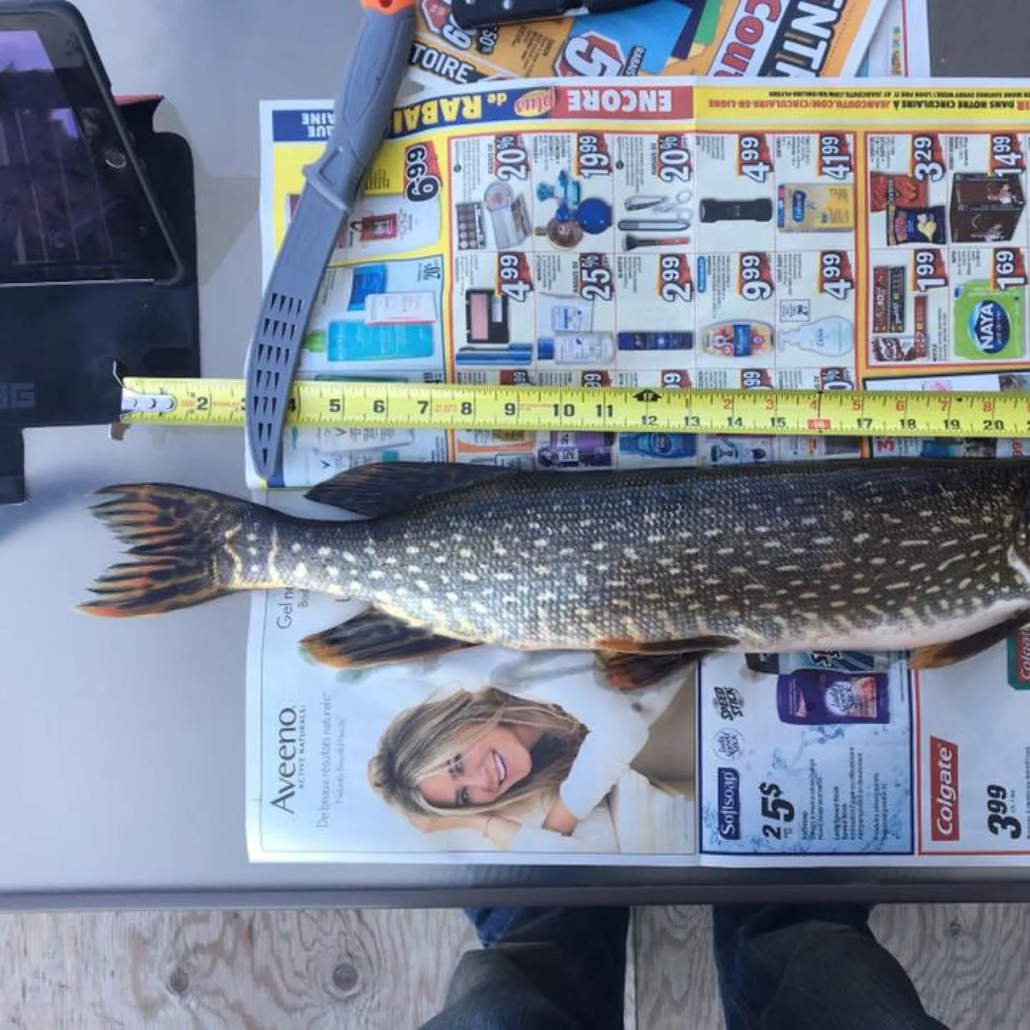 recently logged catches