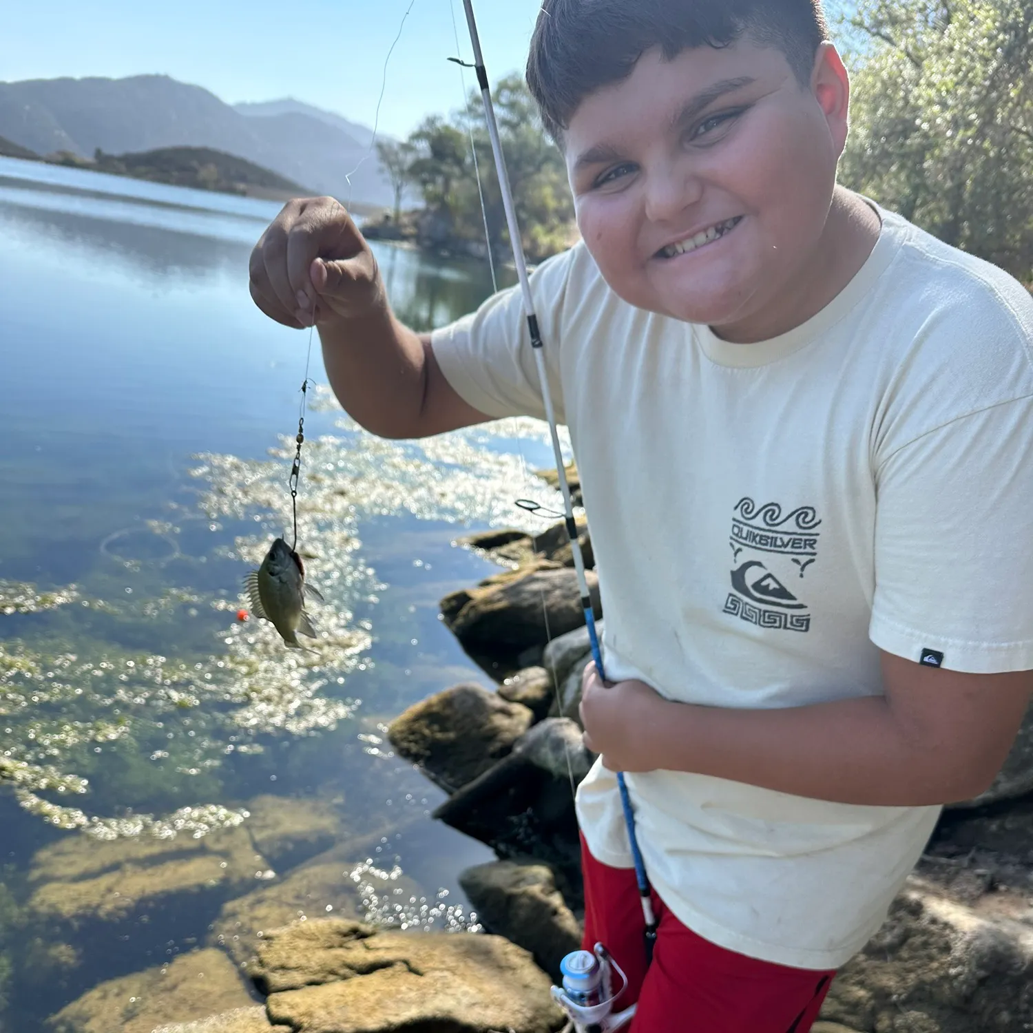 Bluegill caught on Fishbrain