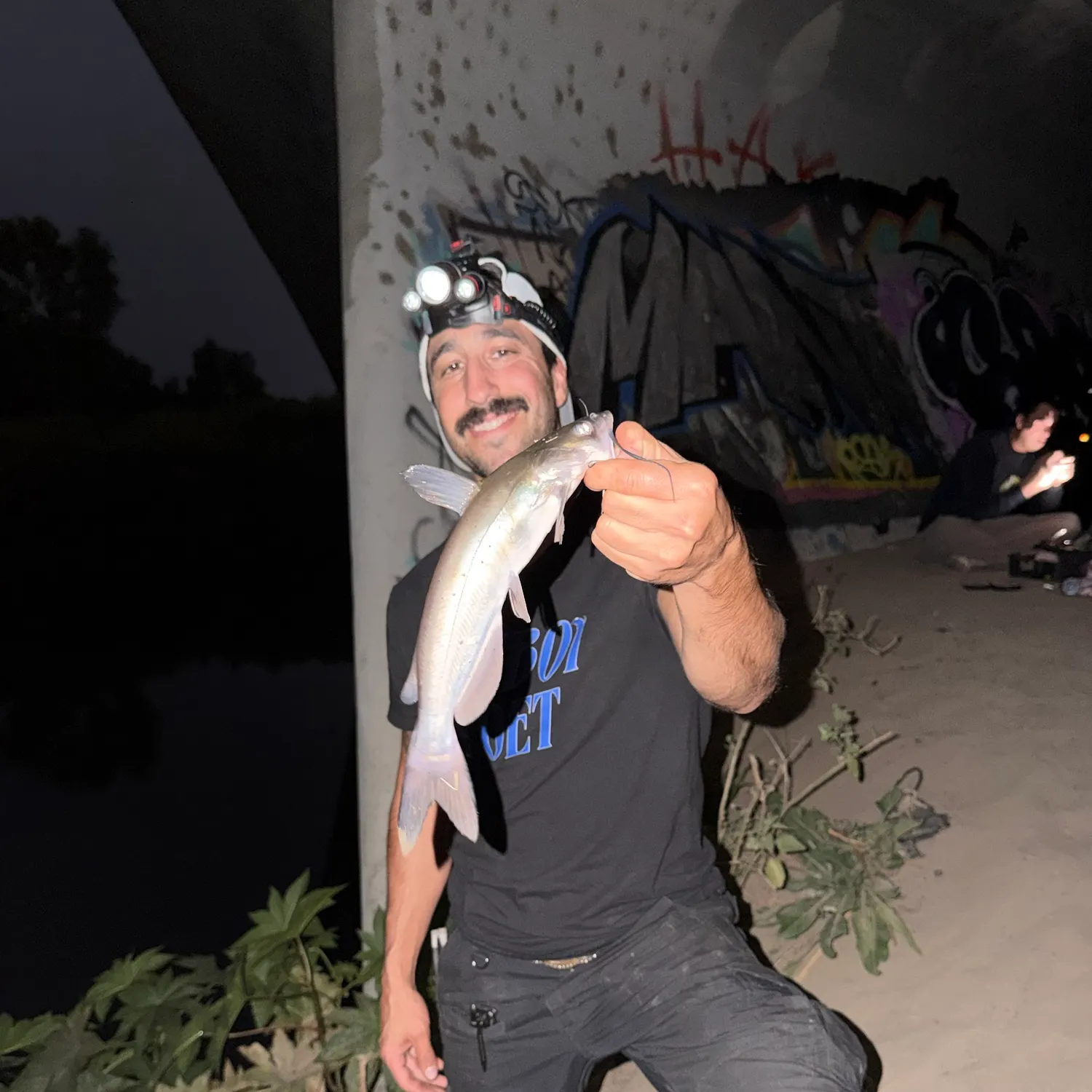 Channel catfish caught on Fishbrain