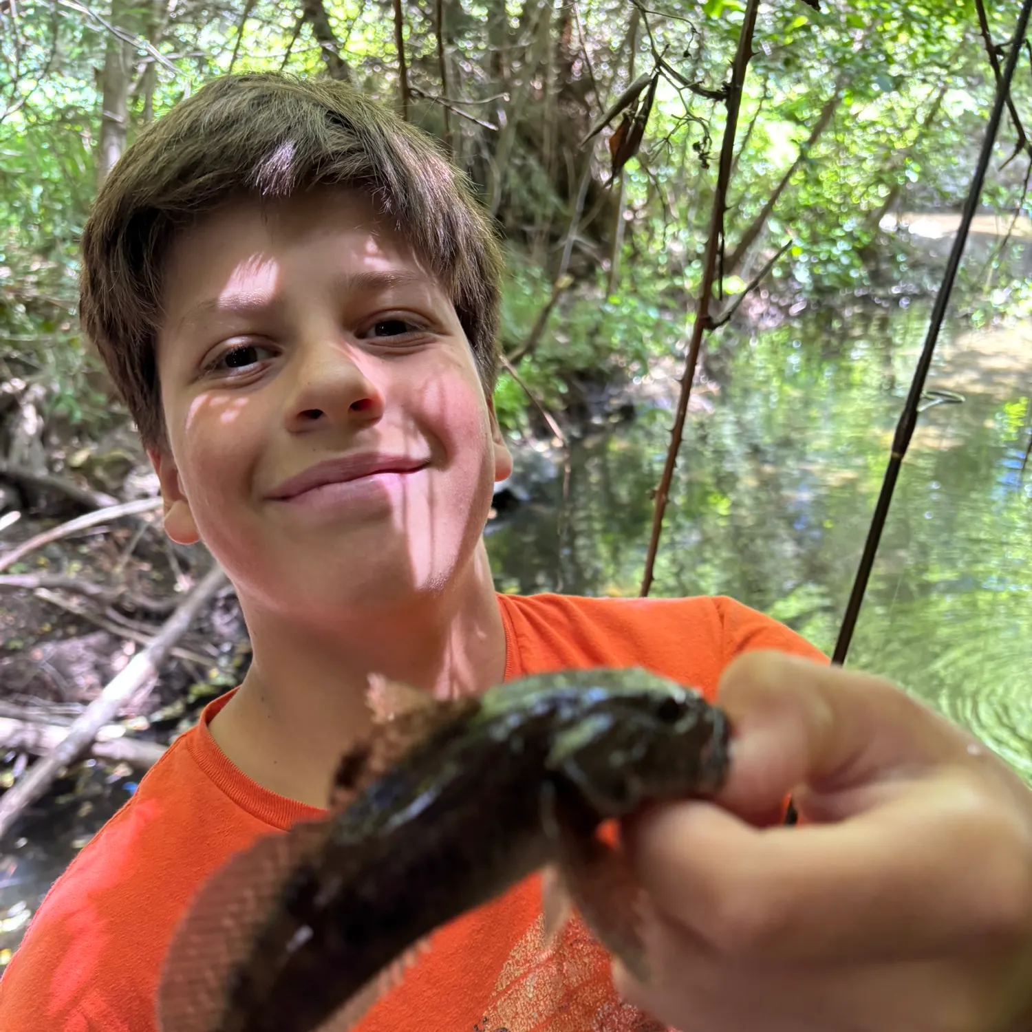 The most recent Mottled sculpin catches on Fishbrain