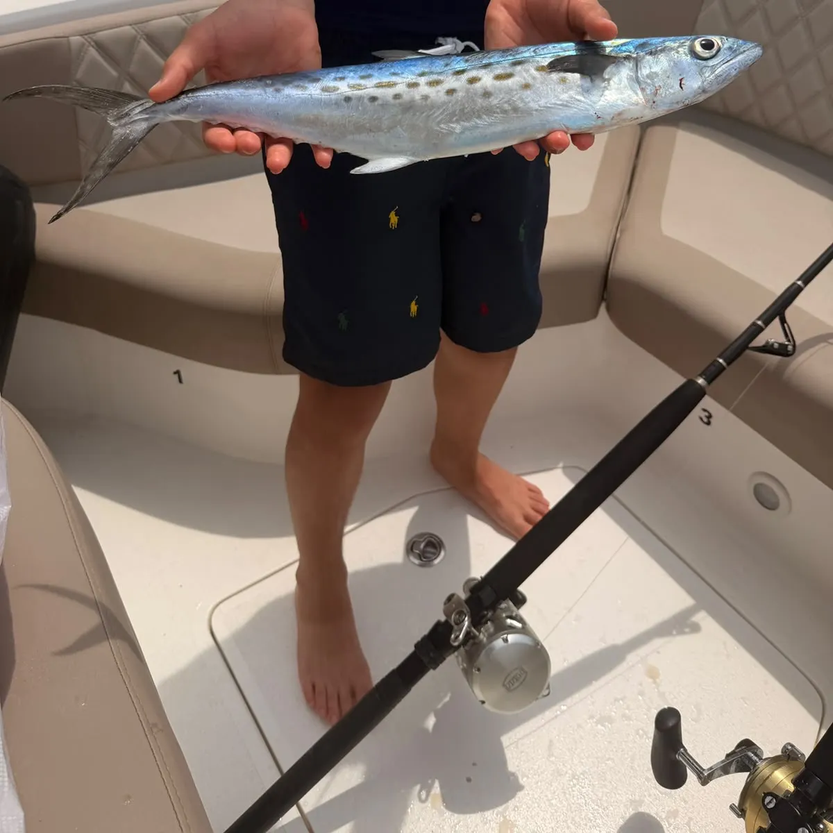 The most recent Serra Spanish mackerel catches on Fishbrain