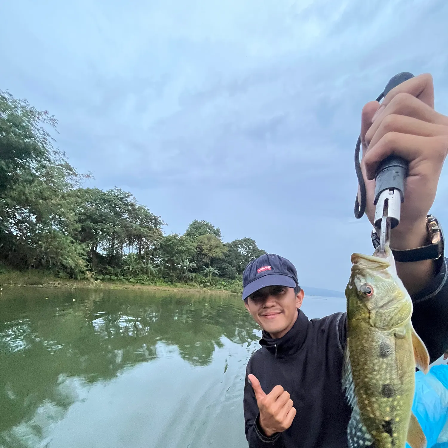 The most recent Monoculus peacock bass catches on Fishbrain