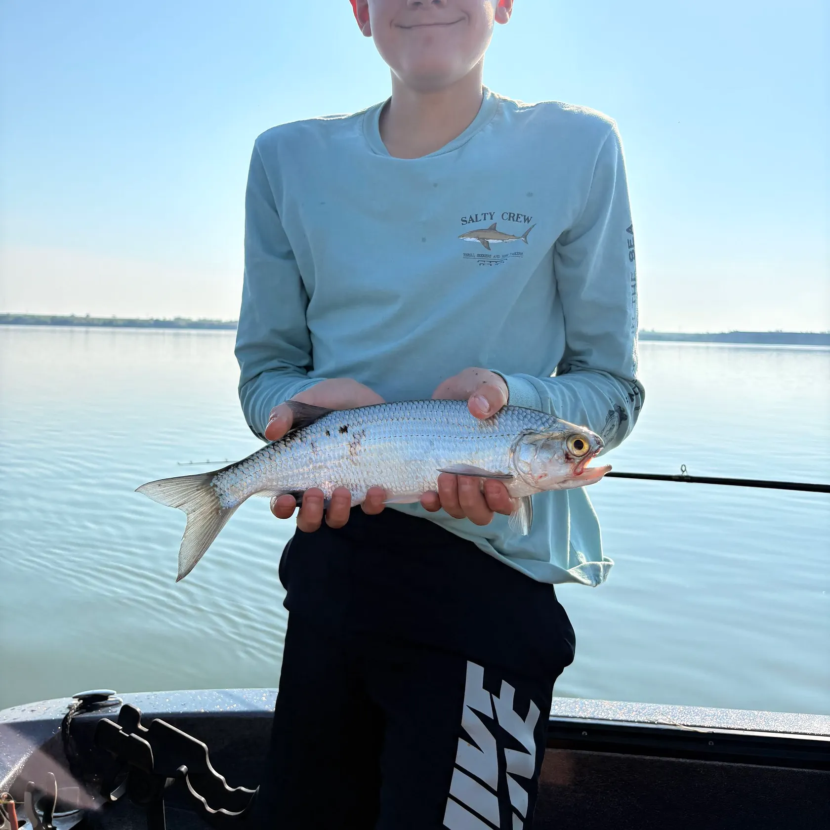 The most recent Skipjack herring catches on Fishbrain