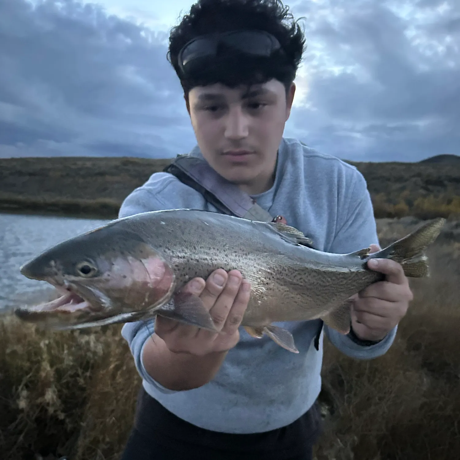 Cutbow caught on Fishbrain