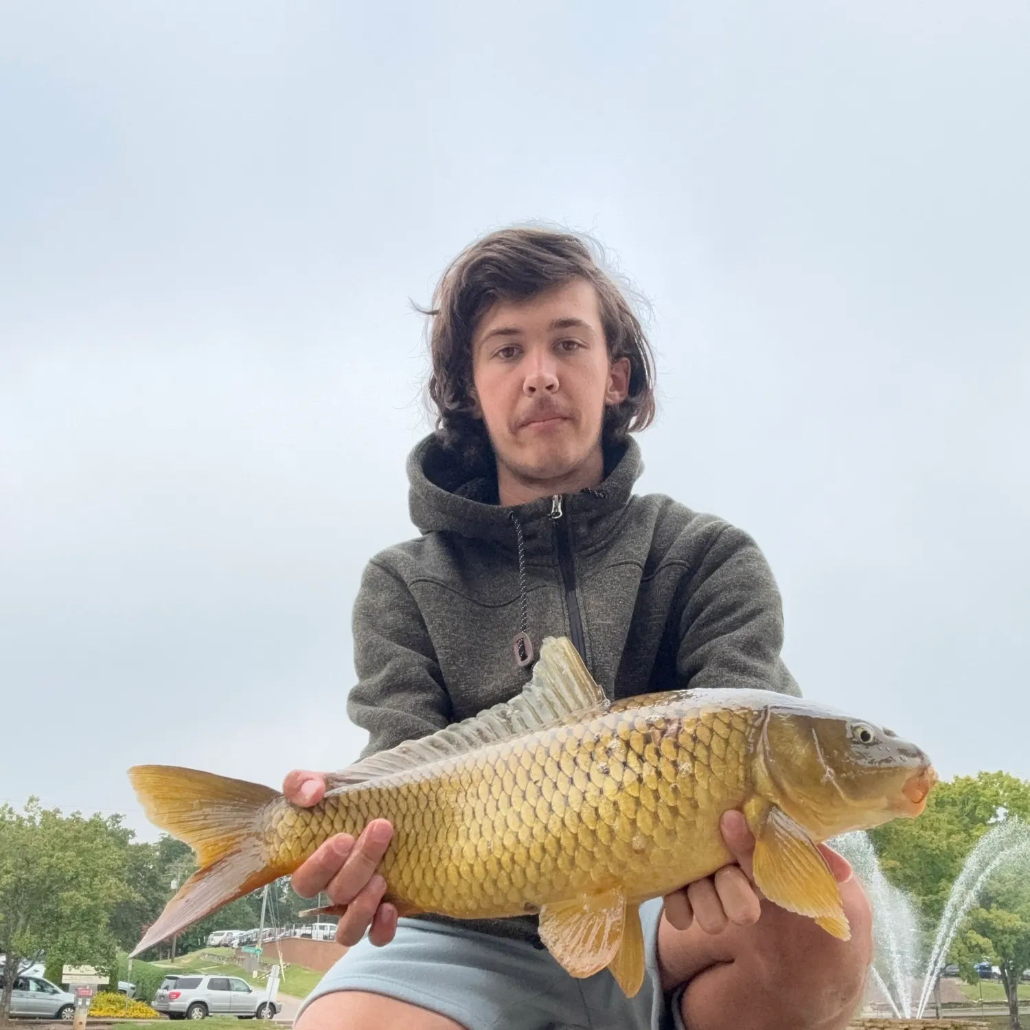 Common carp caught on Fishbrain