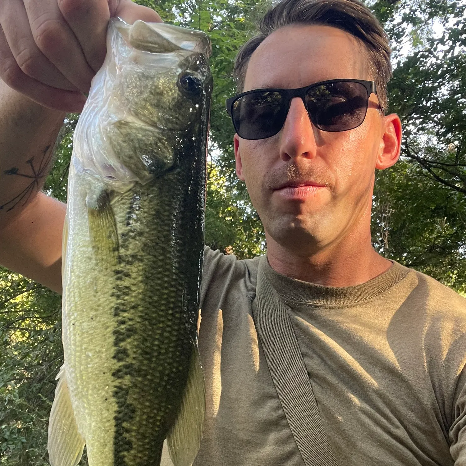 Largemouth bass caught on Fishbrain