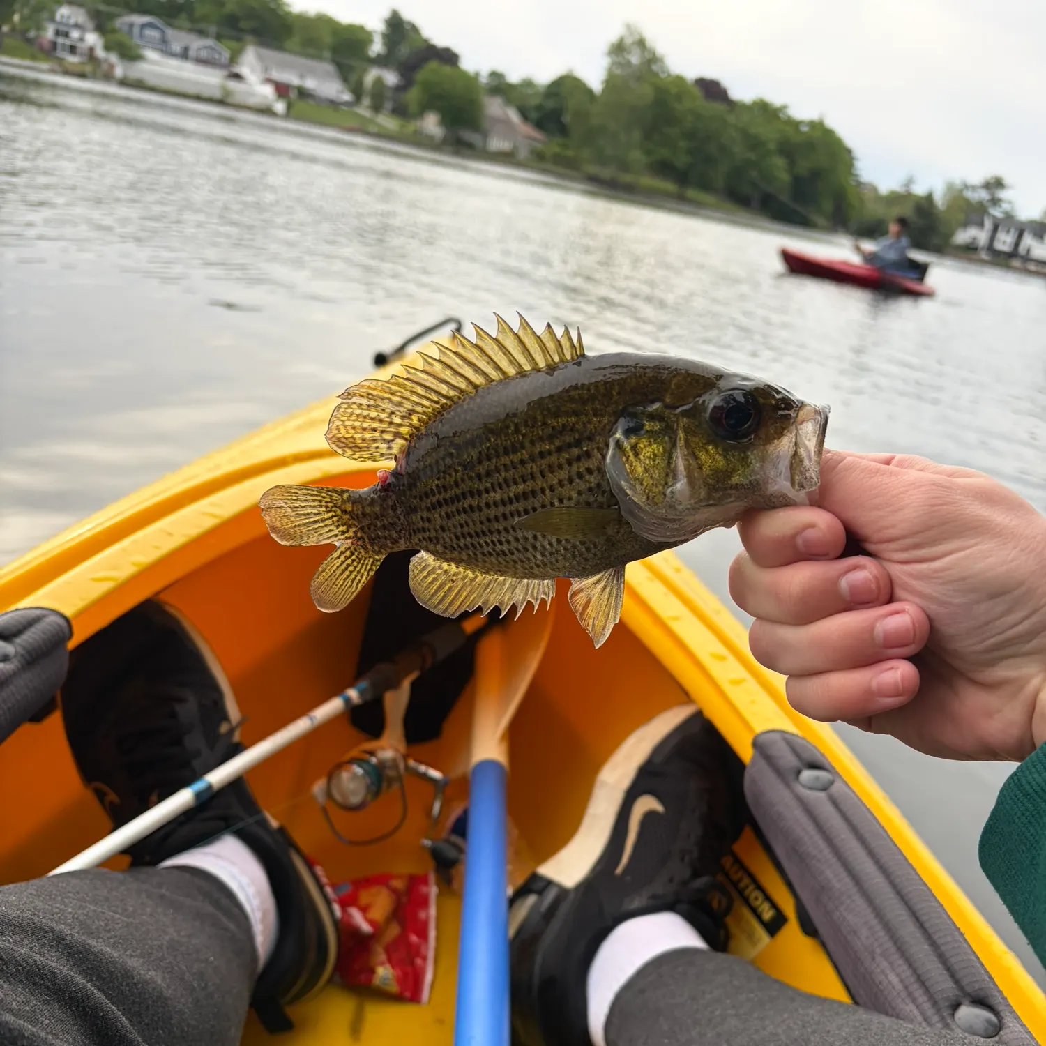 catch