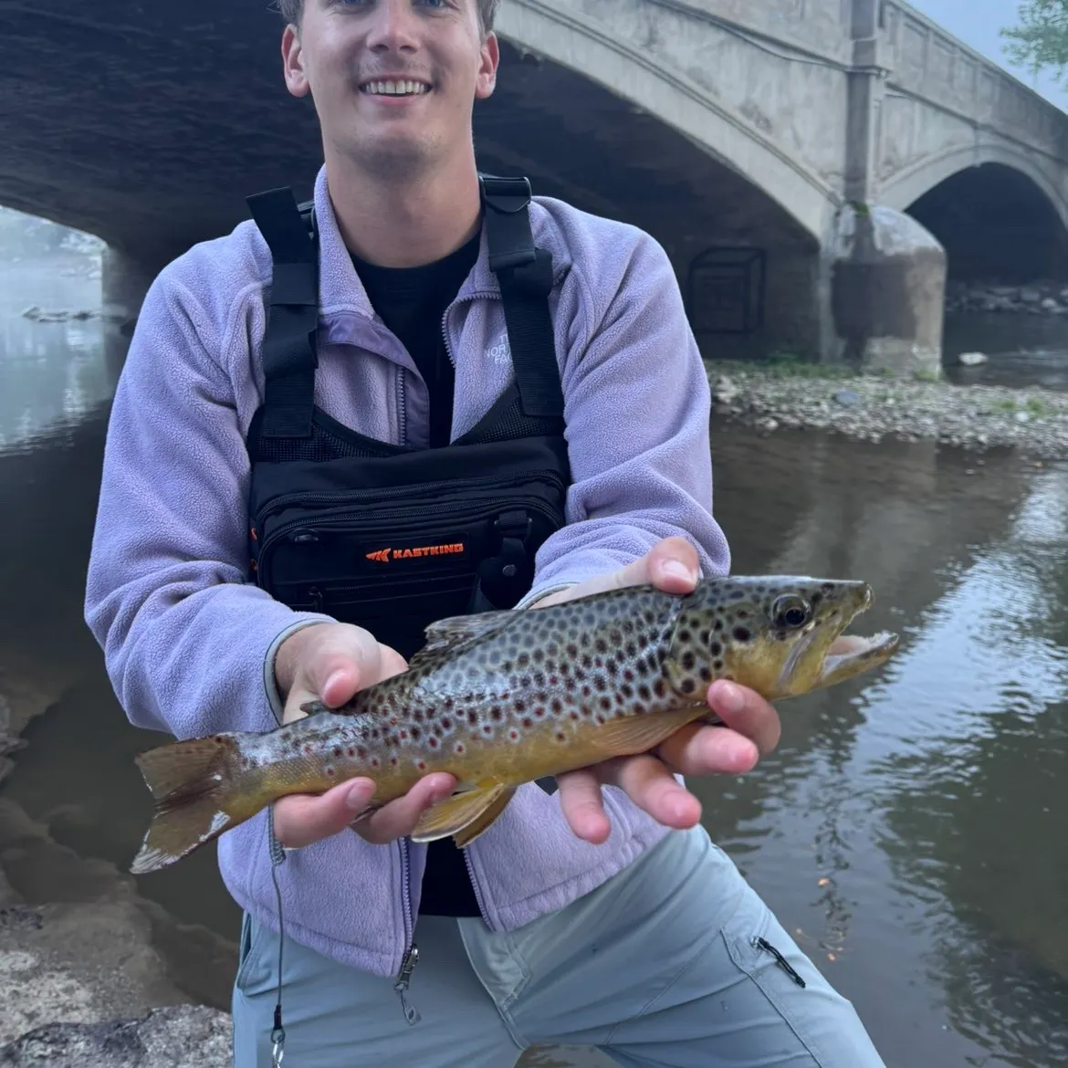 Brown trout caught on Fishbrain