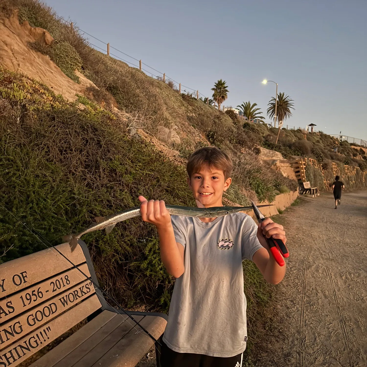 The most recent Mexican needlefish catches on Fishbrain