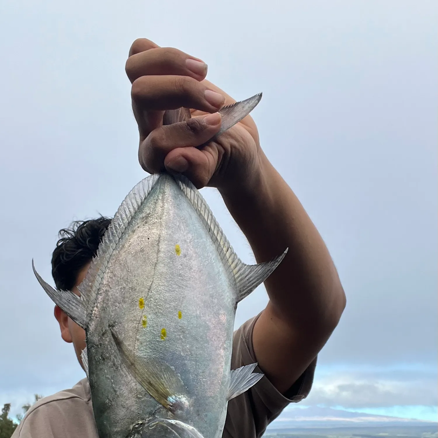 The most recent Yellowspotted trevally catches on Fishbrain