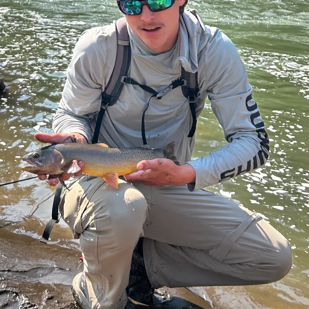 The most recent Yellowstone cutthroat trout catches on Fishbrain