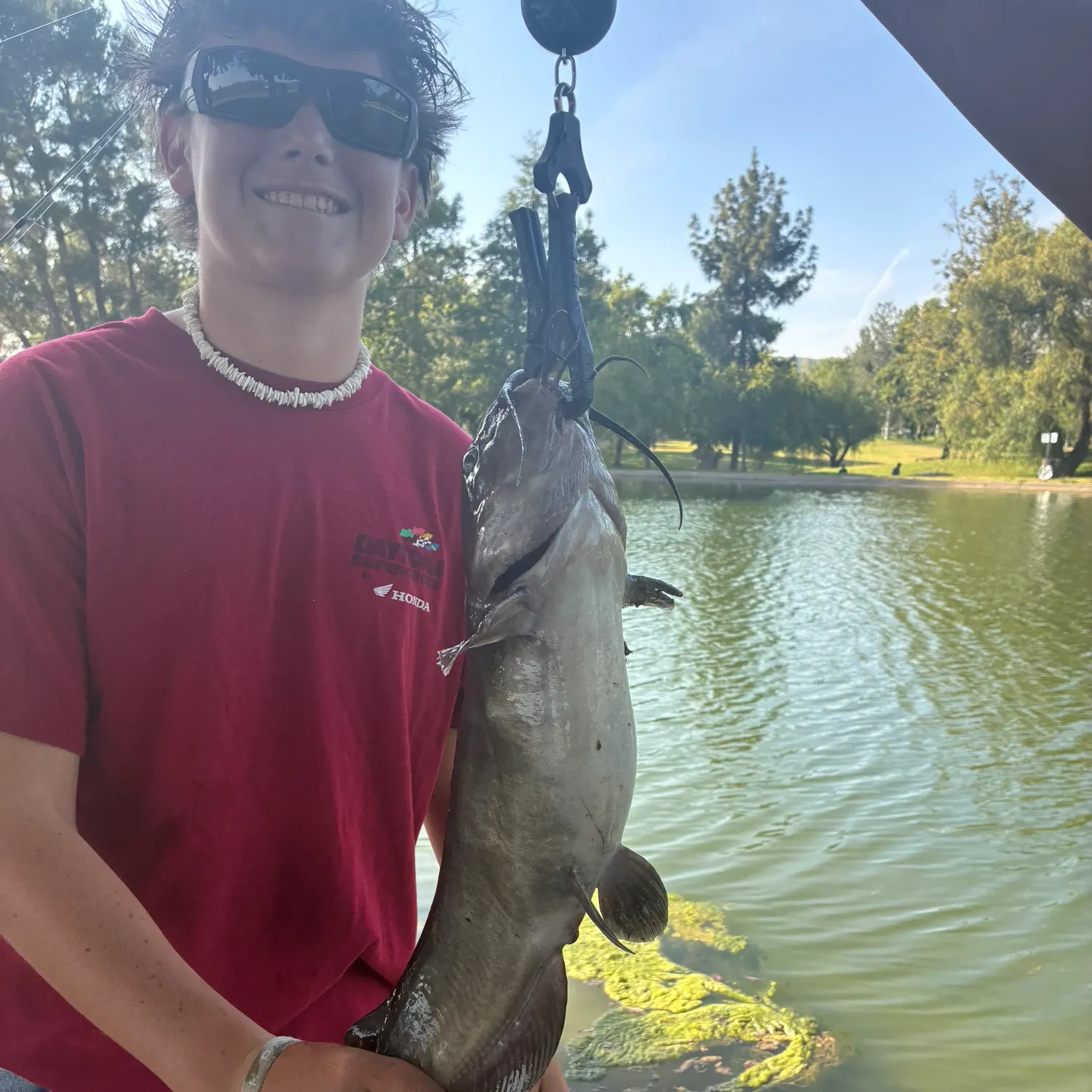 catch