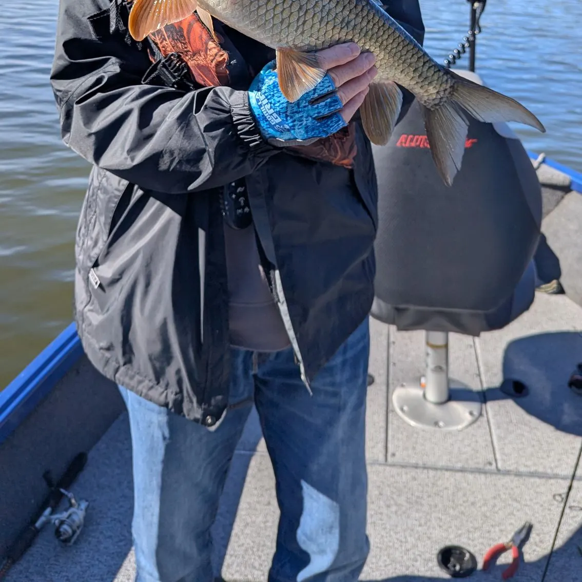 The most recent River carpsucker catches on Fishbrain