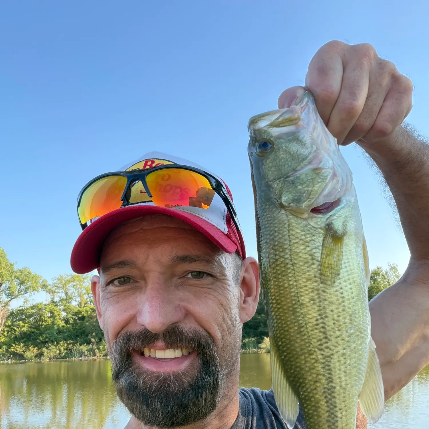 Largemouth bass caught on Fishbrain